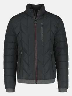 Steppblouson mit Funktion für Herren in Übergröße