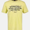 T-Shirt mit Brustprint in Übergrößen